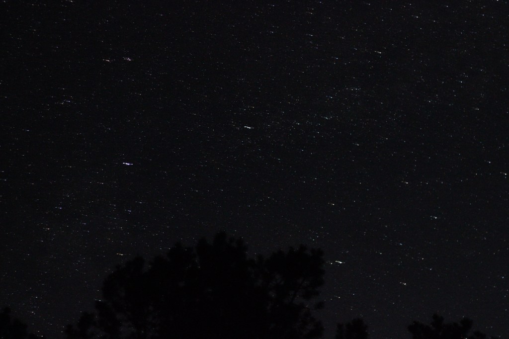 For Puck’s sake…