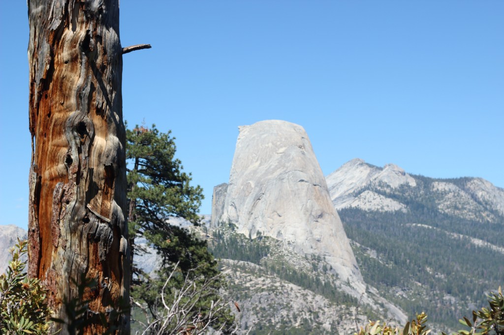 The hidden rules of travelling…