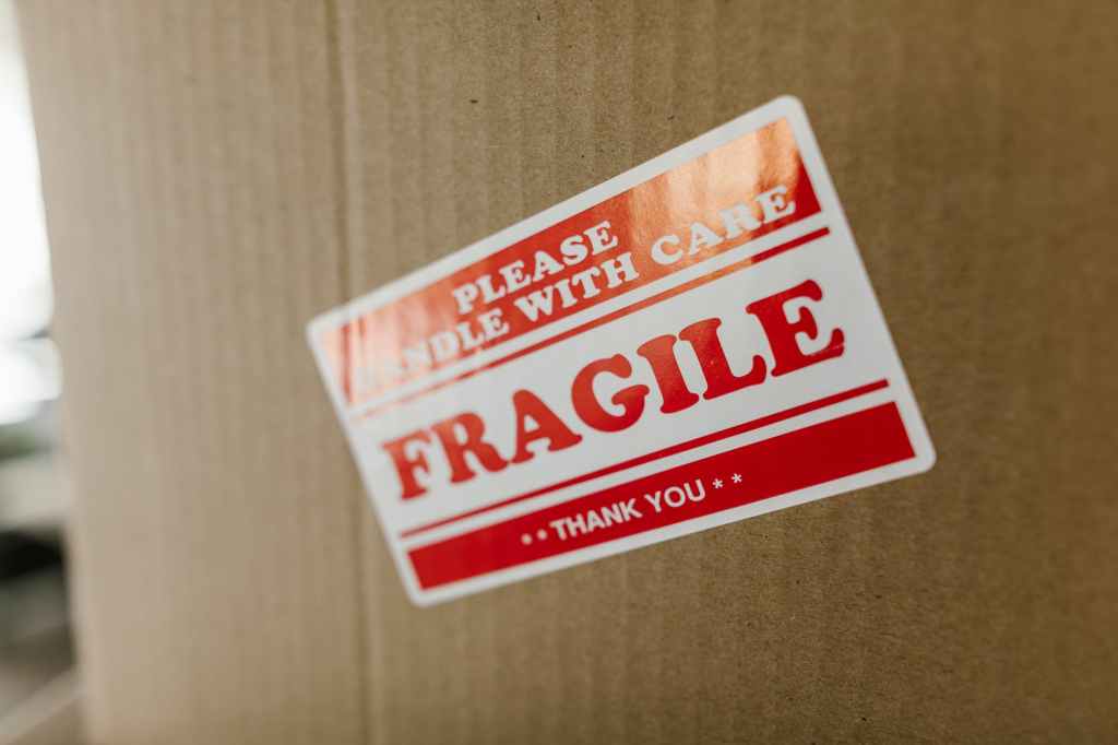 61. Handle With Care: Write about a very fragile or delicate&nbsp;object.